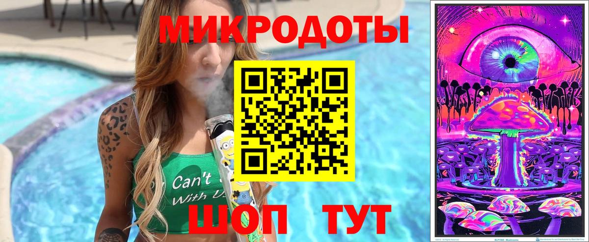 Псилоцибиновые грибы Psilocybe Стрежевой